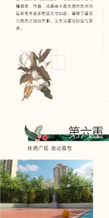 小红帽的冒险之旅