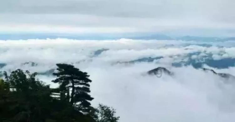 逃离废弃楼层4